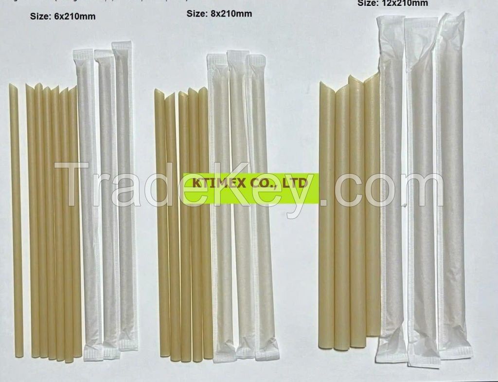 Sugarcane Bagasse Straws