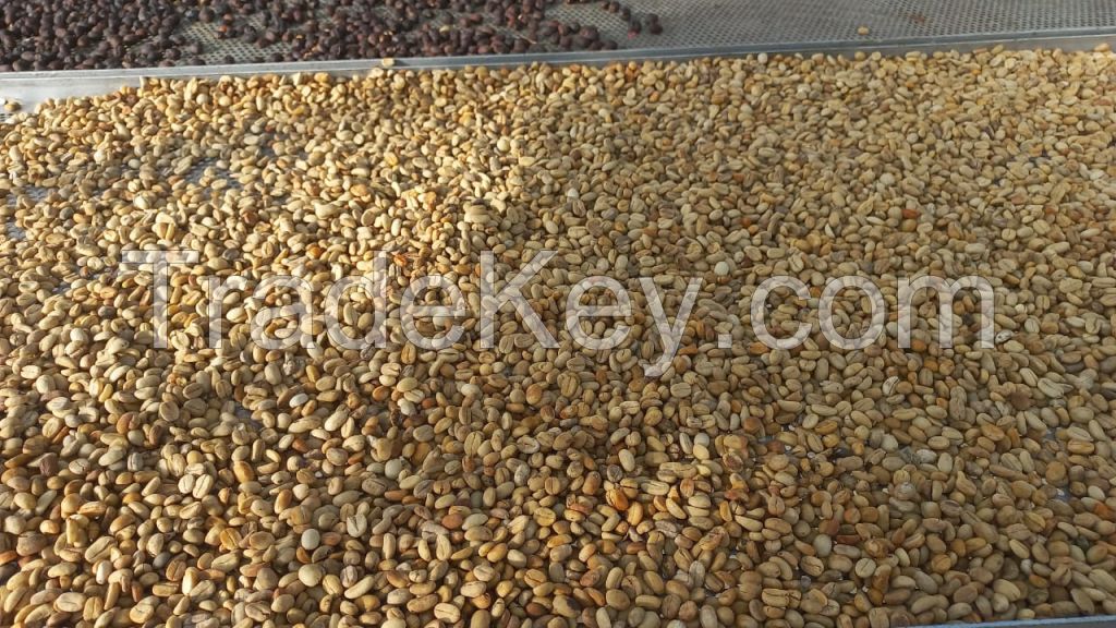 CROP Agropoduction Coffee Products