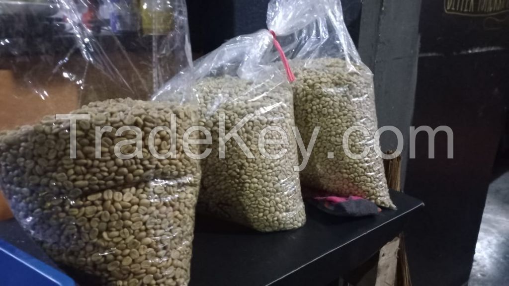 Arabica Gayo Malabar Wayang Specialty Varieties Green Beans
