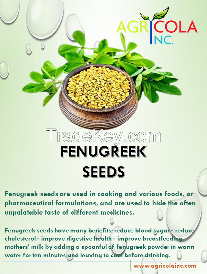 Fenugreek 