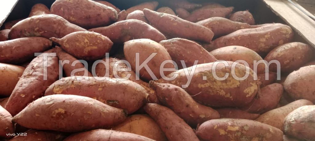 fresh sweet potatoes