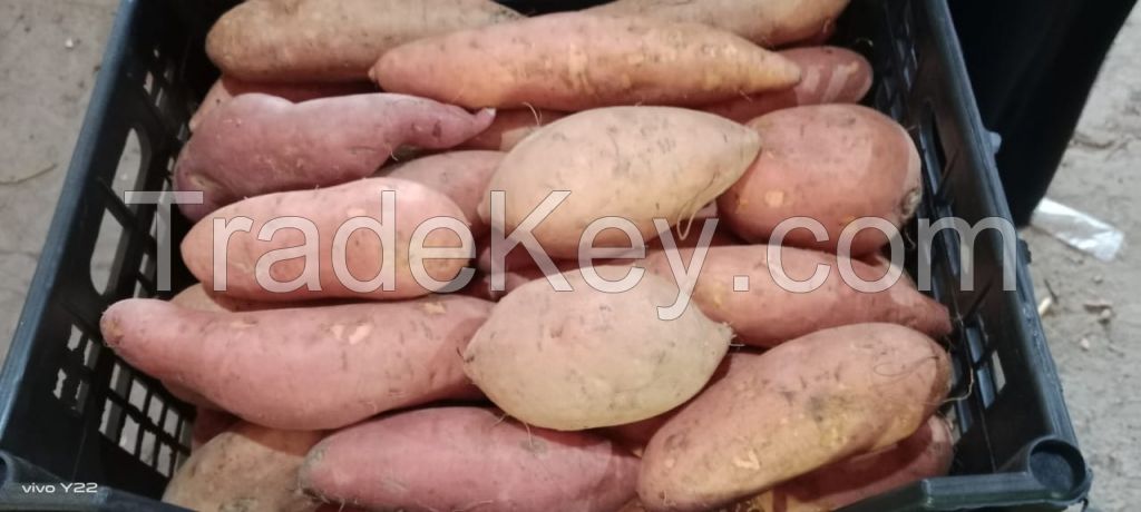 fresh sweet potatoes