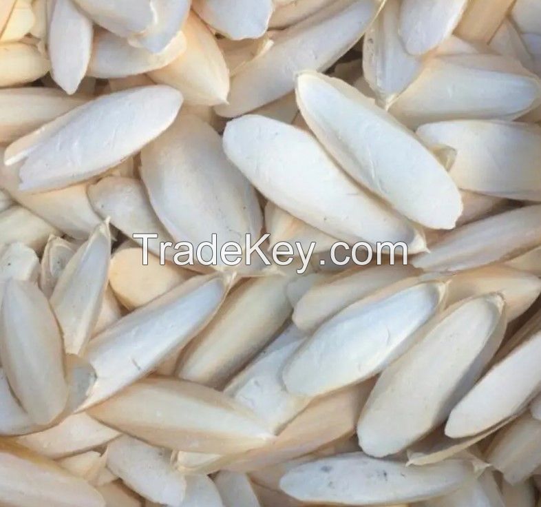 VIETNAM WHOLESALE CUTTLEFISH BONE WITH LOW BROKEN RATE