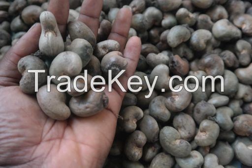 Cashew nuts