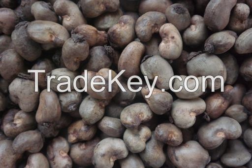 Cashew nuts