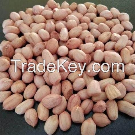 Red Skin Peanuts