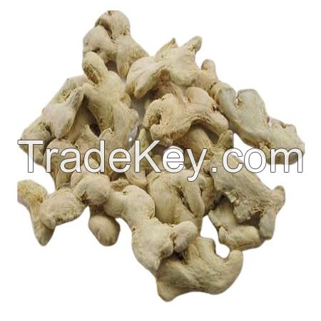 fresh ginger and dried ginger