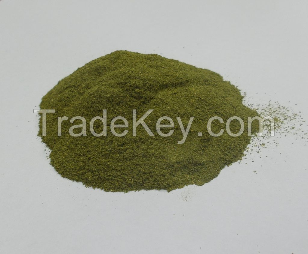 Moringa Powder