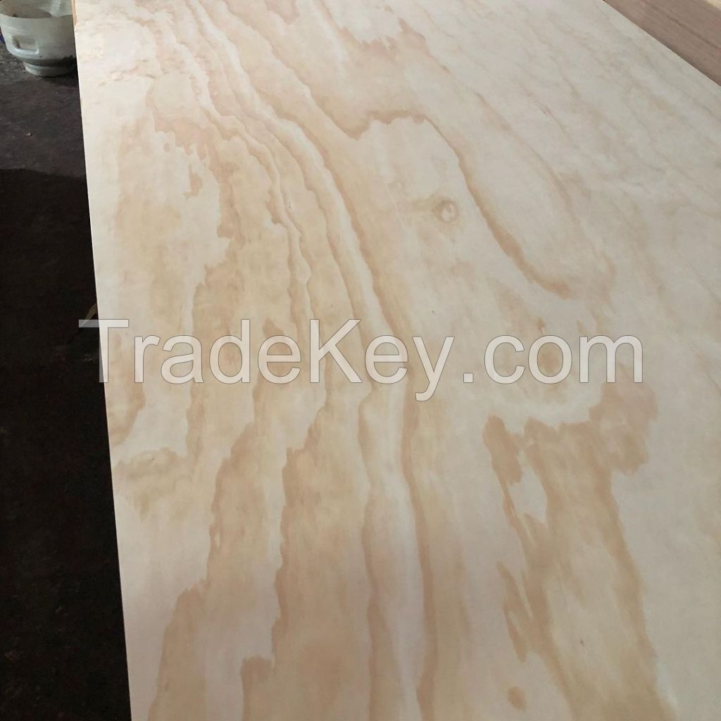 Sapele plywood/Sapelli plywood/red hardwood plywood/ okume veneer plywood/ pencil cedar plywood