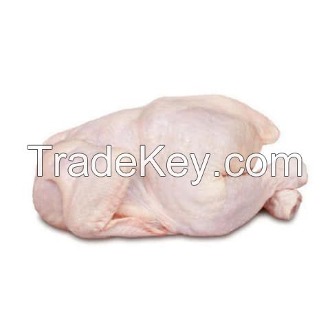 FROZEN CHICKEN , FROZEN MEAT , FROZEN CHICKEN FEET , FROZEN FRUITS,FROZEN VEGETABLES,FROZEN FOODS