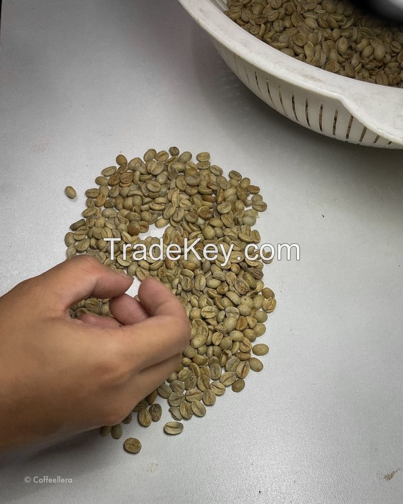 Arabic And Robusta Coffee Beans /kidney Beans 