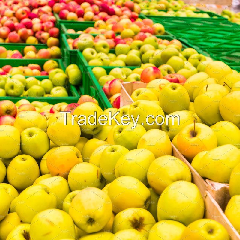 Fresh Apple/Apples Fruits 