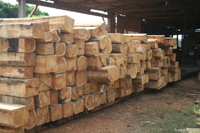 Teak Logs