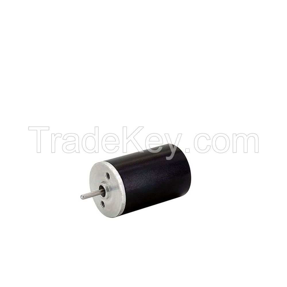 Brushless Motor 1V 3V 7V 16V 36V 48V 76V 110V 