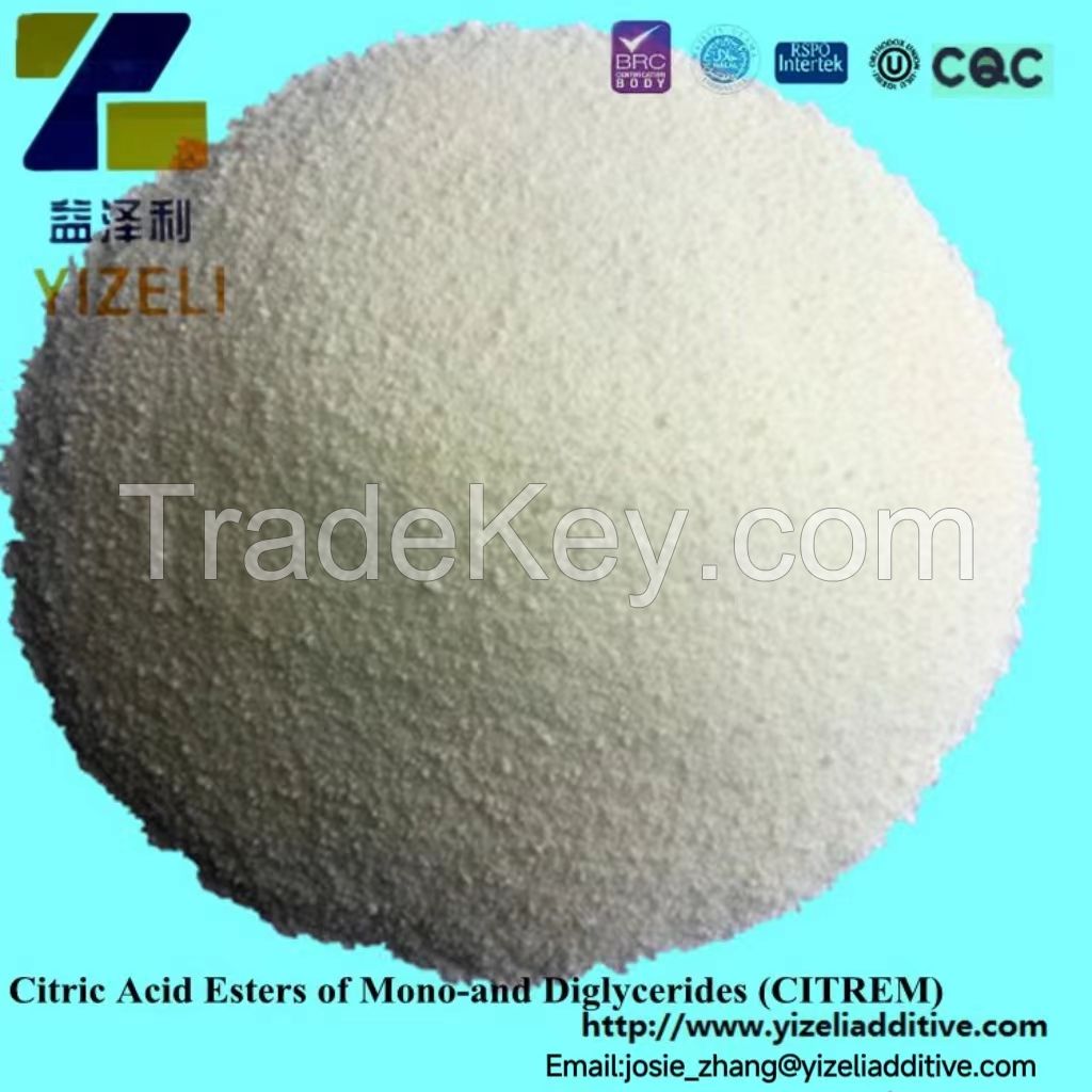 Citric Acid Esters of Mono-and Diglycerides (CITREM)