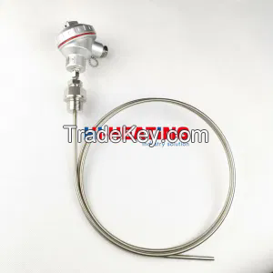 K-Type J-Type PT100 Armored Thermocouple Wrnk-191/131/291r Thermal Resistance Temperature-Resistant Needle Type Can Be Bent