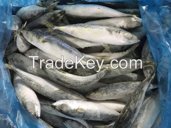 Crabs, MACKEREL FISH,CANNED TUNA,CAVENSIH BANANA,PRAWNS,SKIPJACK TUNA,FROZEN FOOD, SEEA FOOD,FISH MAW,DRY SEA FOOD