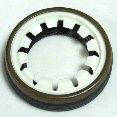 Oil Seal