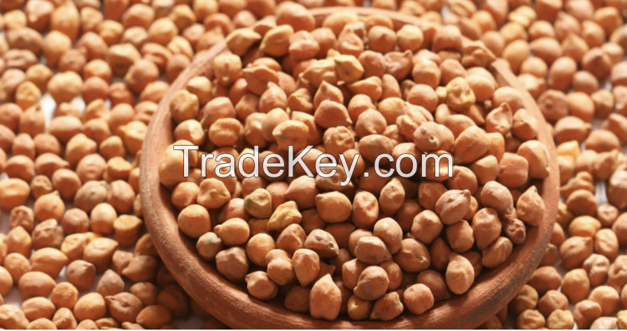 Brown Chickpeas