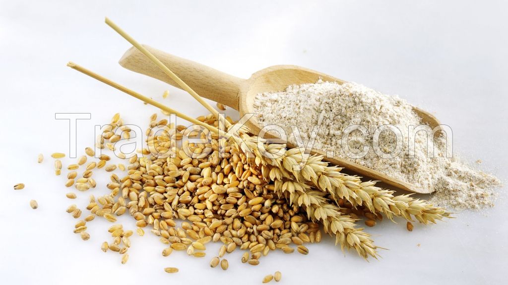 High-Quality Russian Wheat