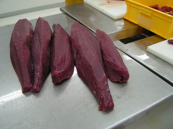 Yellow-Fin Tuna