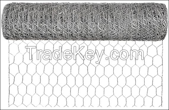 Galvanized Steel Poultry Netting