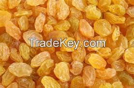 Quality Golden raisins