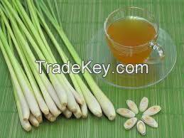 Fresh Lemongrass