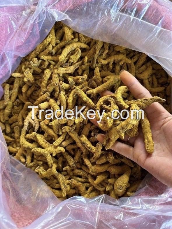 Dried Turmeric