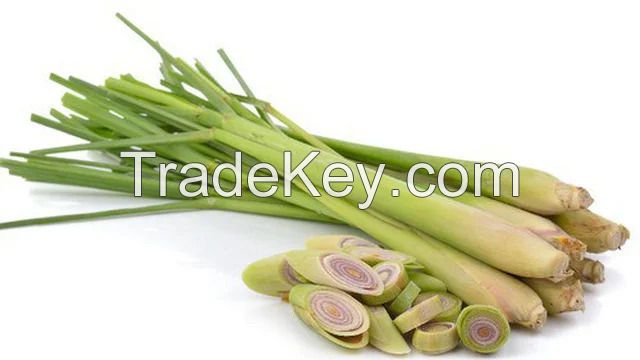 Fresh Lemongrass