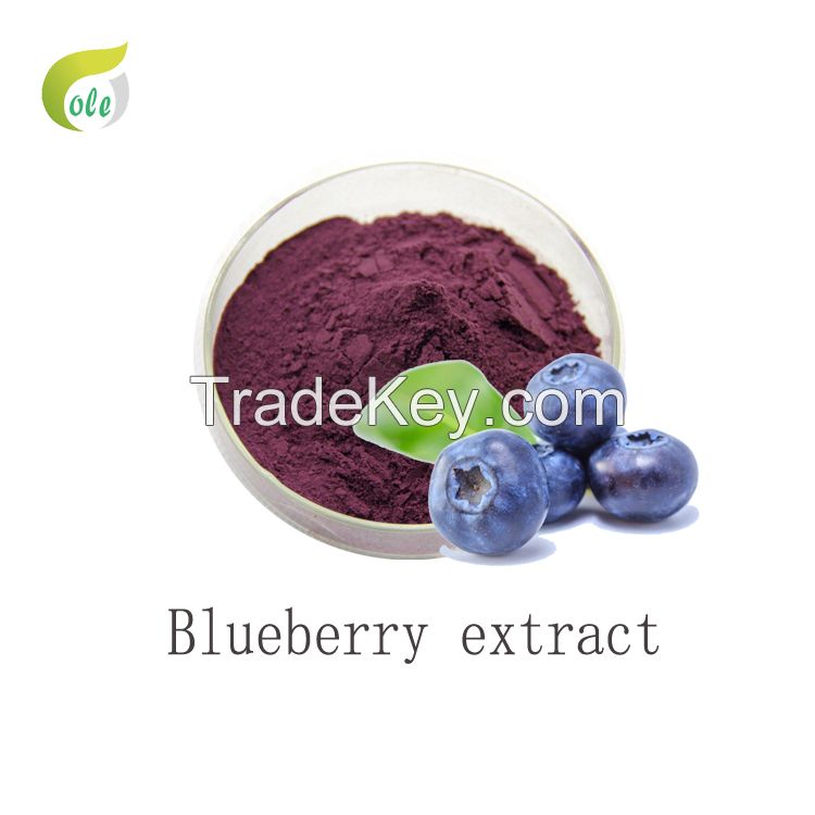 100% natural Blueberry powder extract