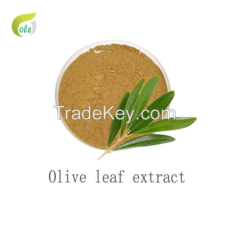 Best Olive leaf extract powder free samples 