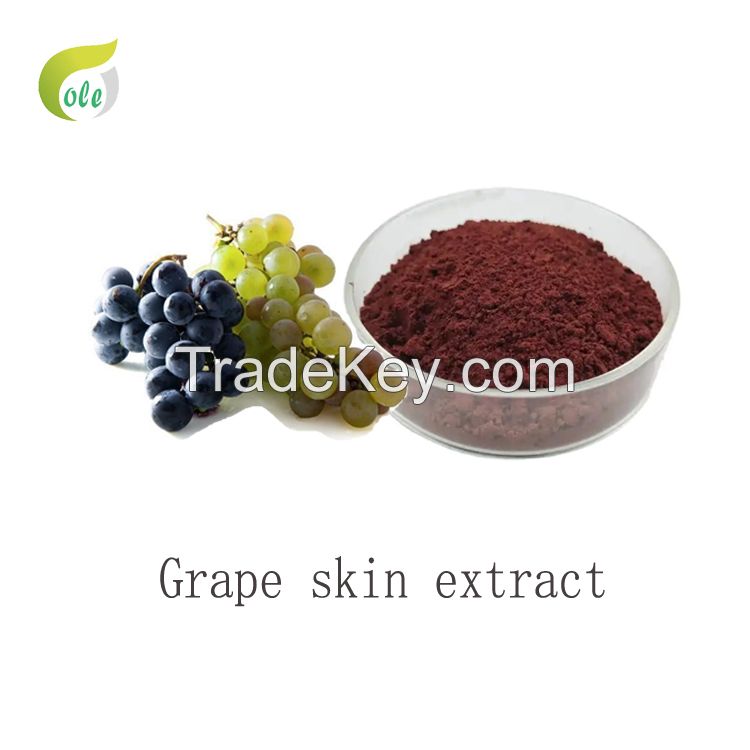 Top quality Grape skin extract Anthocyanins