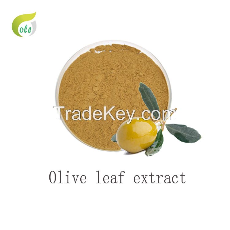 Best Olive leaf extract powder free samples 