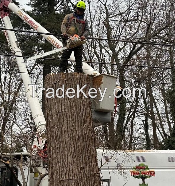 Tony Tree Service