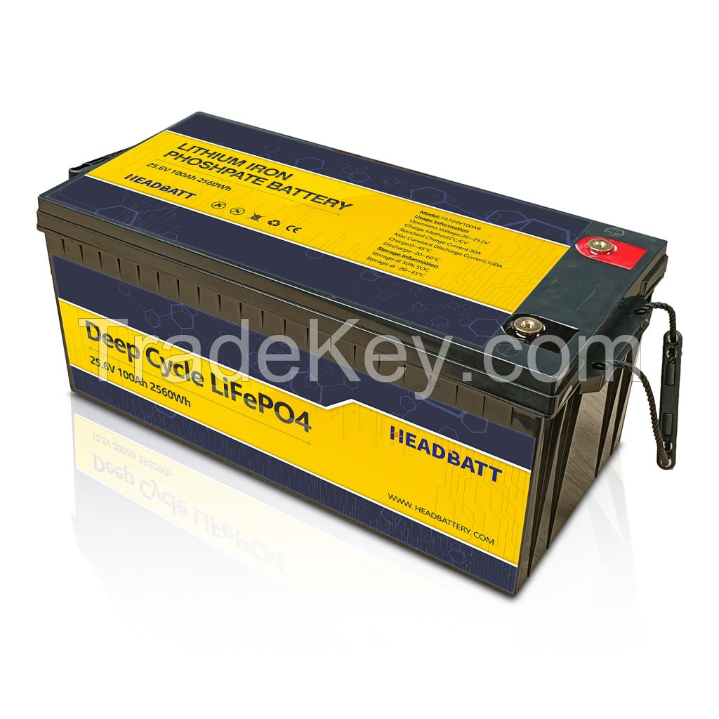 12V 24V 48V LiFePO4 Battery for SESS