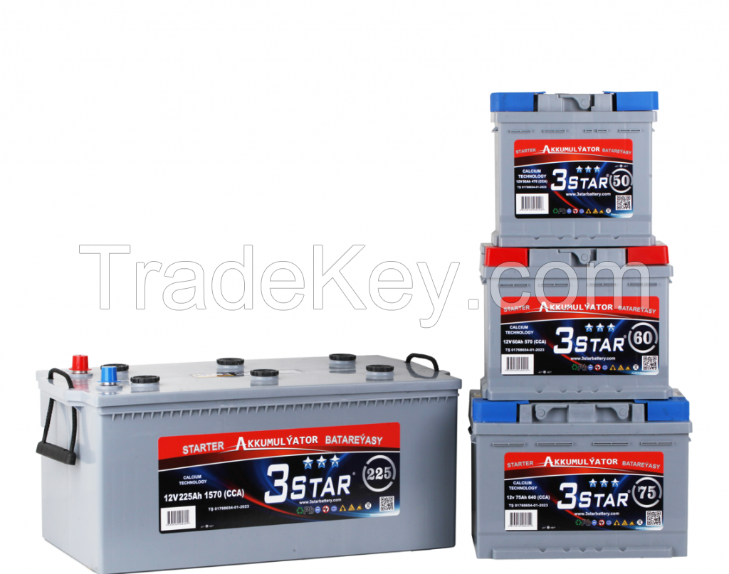 DIN SERIES AH 55 LAED ACID BATTERIES 