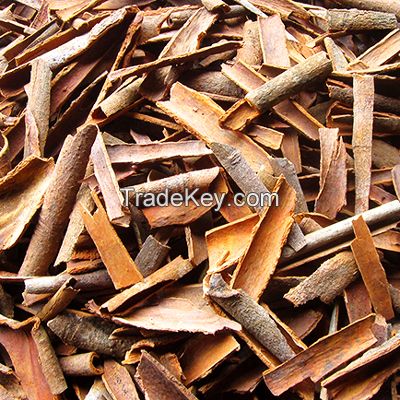 CASSIA CINNAMON