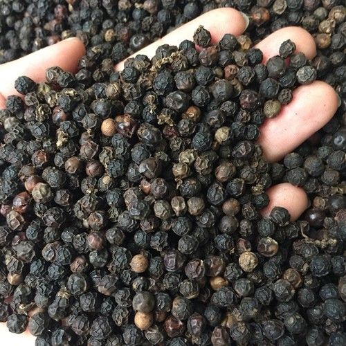 BLACK PEPPER