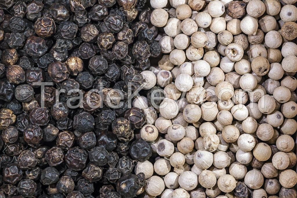 BLACK PEPPER