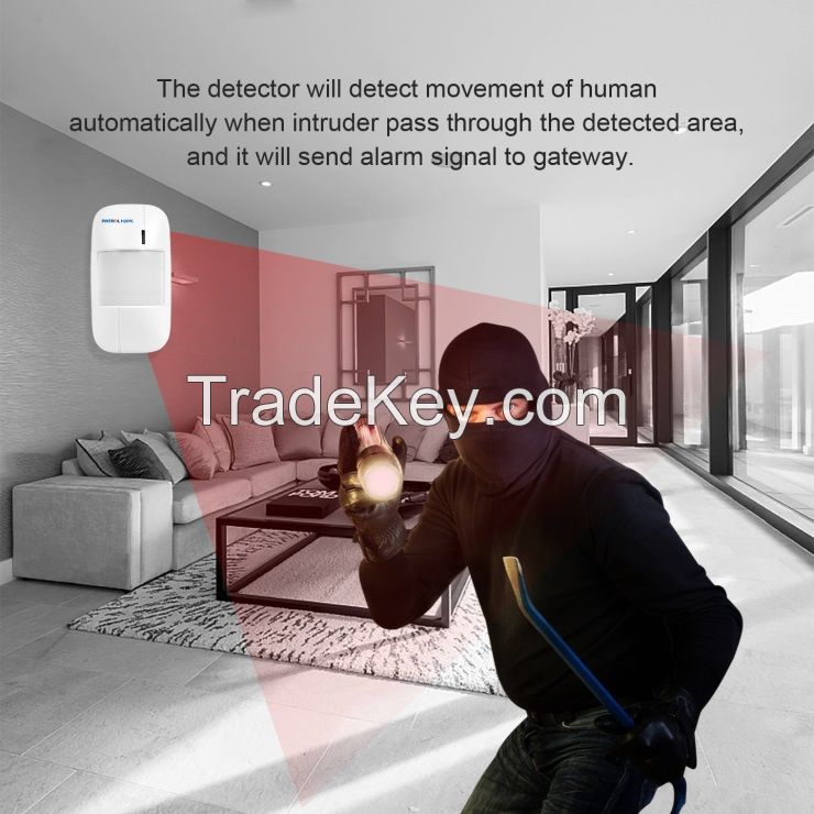 Wireless Motion Detector