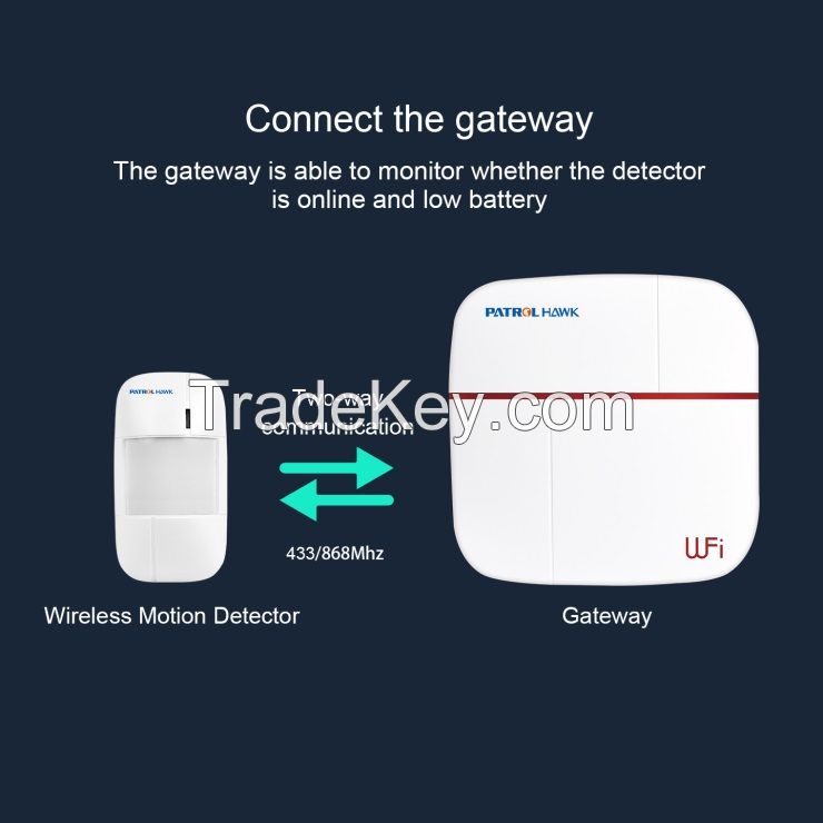 Wireless Motion Detector