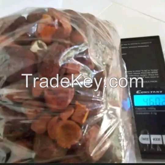 Cattle Gallstones, Cow Gallstones, Ox Gallstones