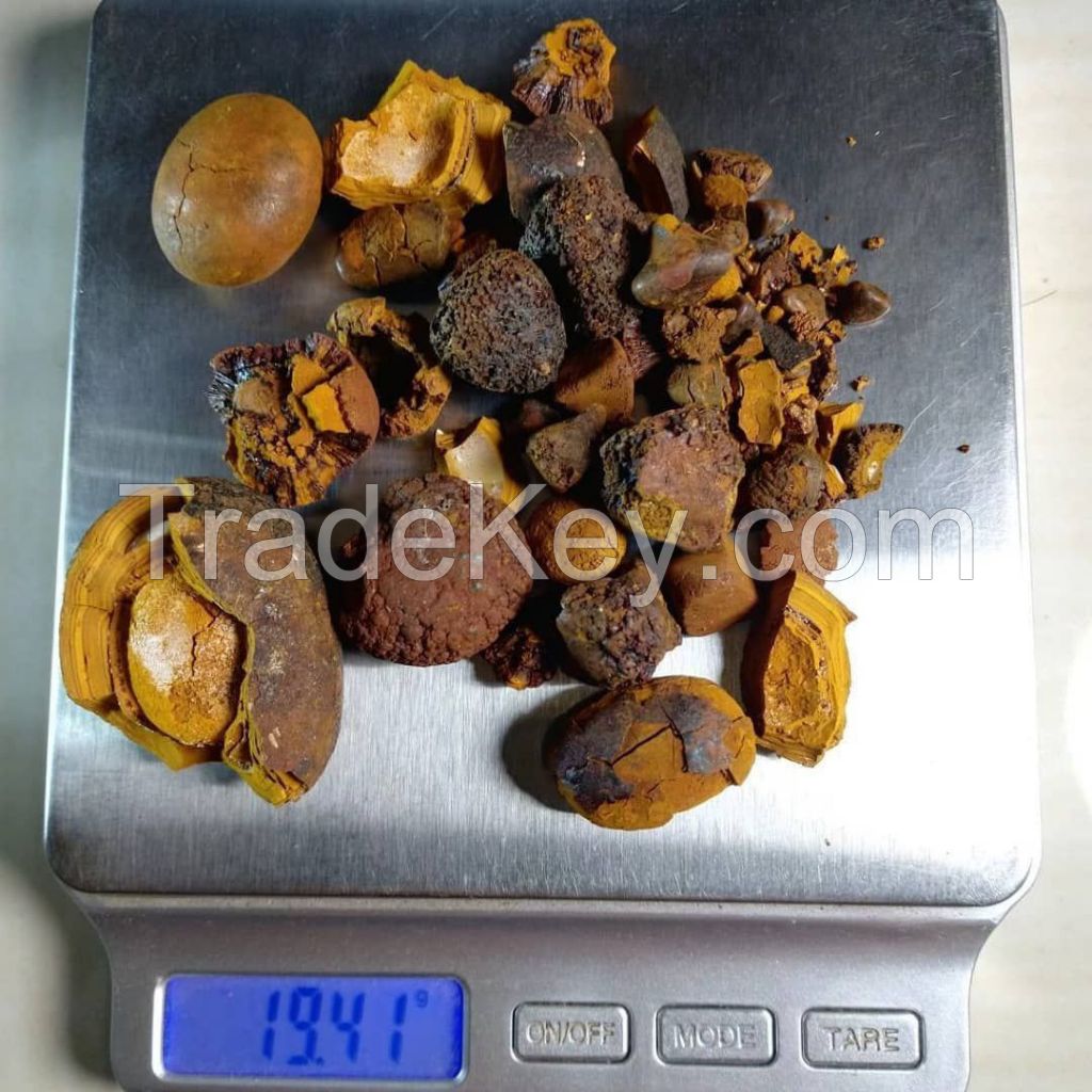 Cattle Gallstones, Cow Gallstones, Ox Gallstones,