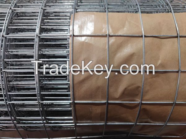 Hot-Dipped Galvanized Welded Wire Mesh