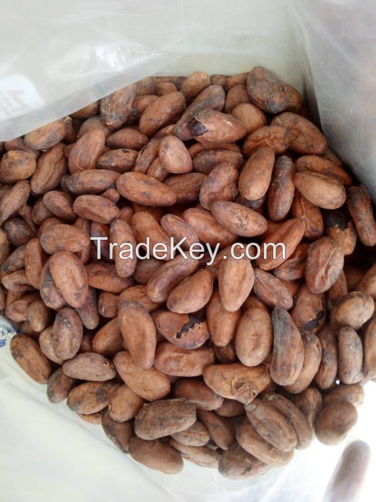 Natural Dry Cocoa Beans from Cameroon