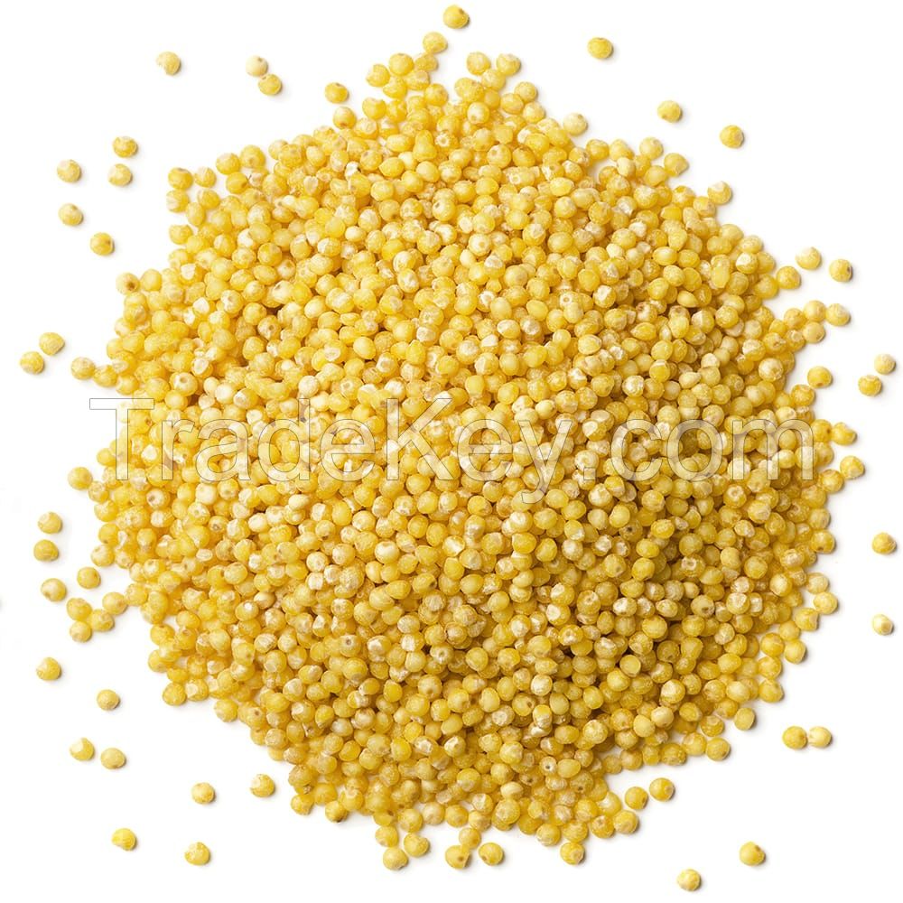 Natural and Organic Millet Seeds