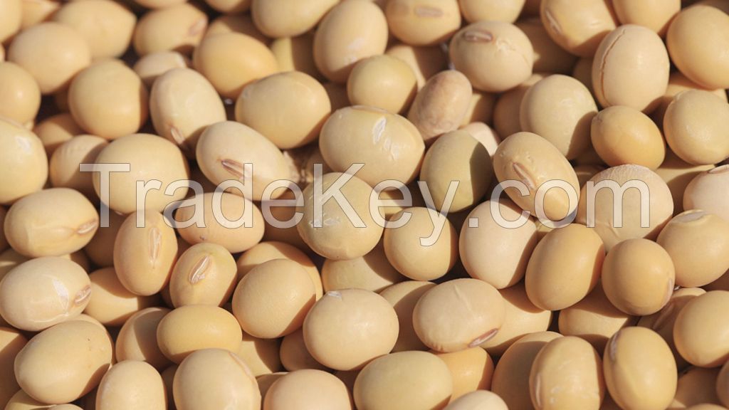 Soybeans