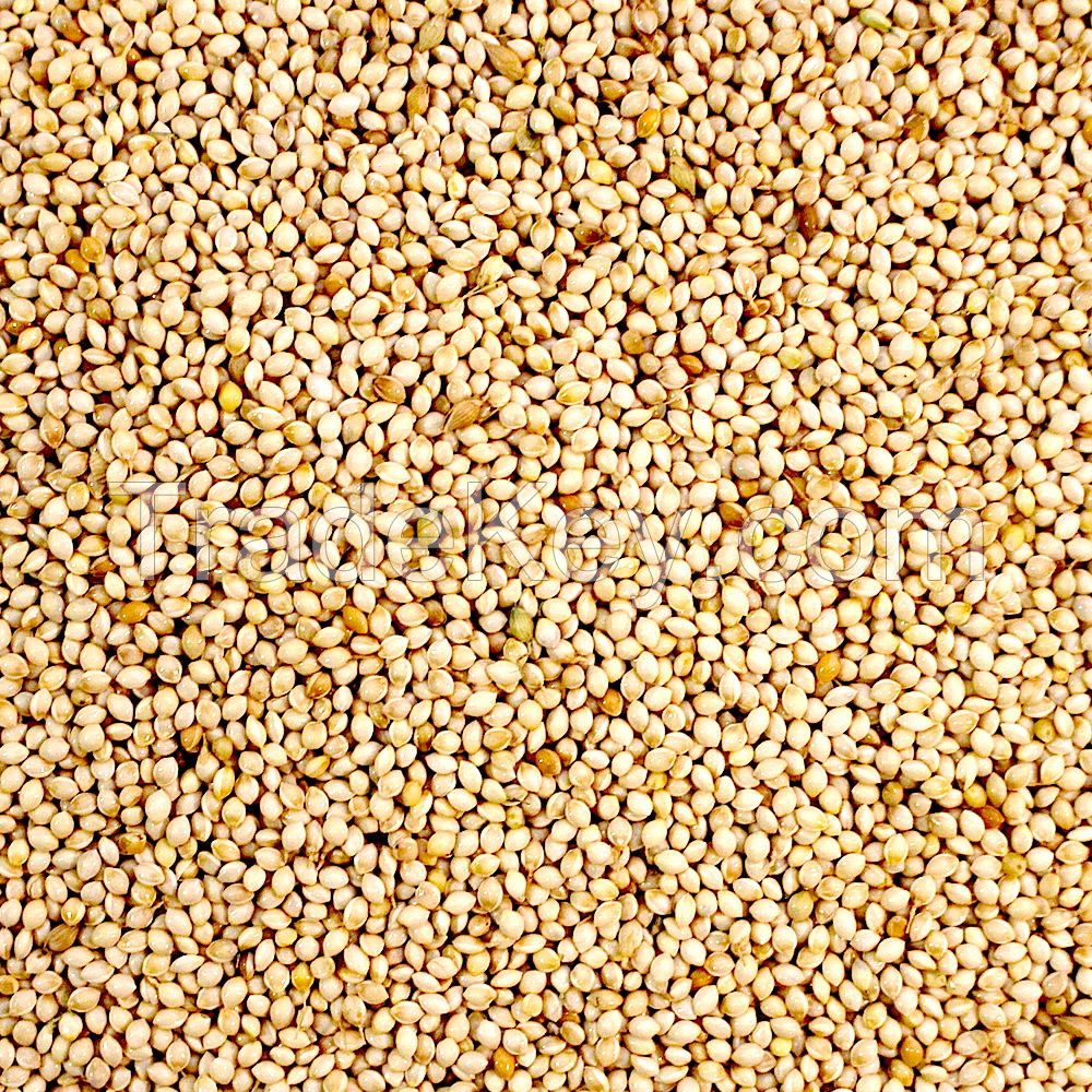 Natural and Organic Millet Seeds