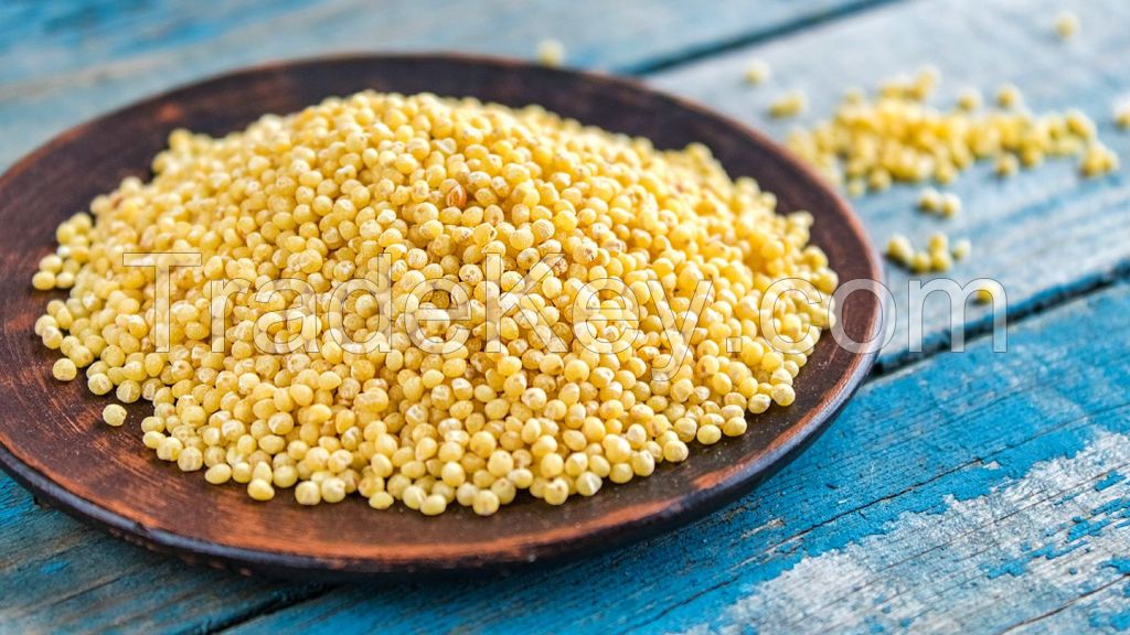 Natural and Organic Millet Seeds